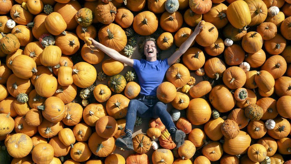 Farmer with pumpkins in North Yorkshire