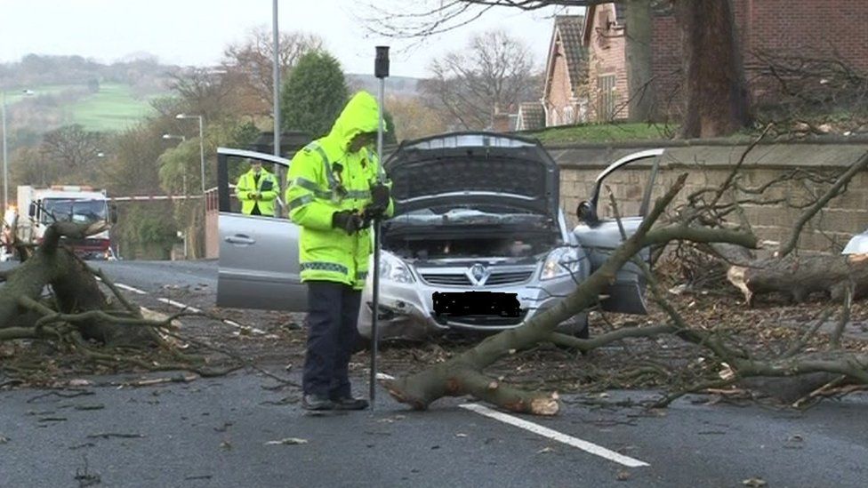 Tree branch in front of Davison's car in Wakefield
