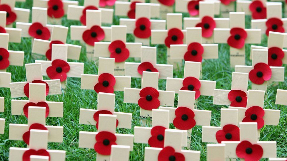 Poppy crosses are pictured in the Field of Remembrance at Westminster Abbey on November 11, 2004 in London, England.
