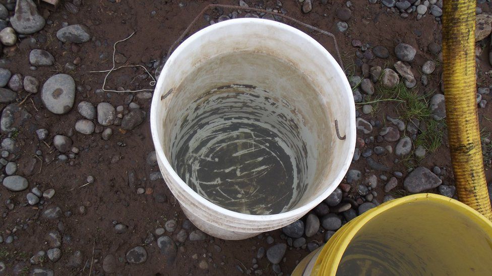 A view of a bucket with green residue at the bottom