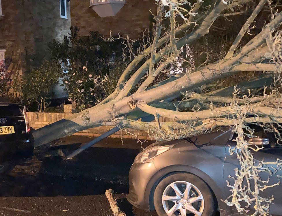 Undated handout image from the Twitter feed of Elizabeth Howard of a tree which has fallen onto a car in Ealing, West London during Storm Dudley. Issue date: Thursday February 17, 2022