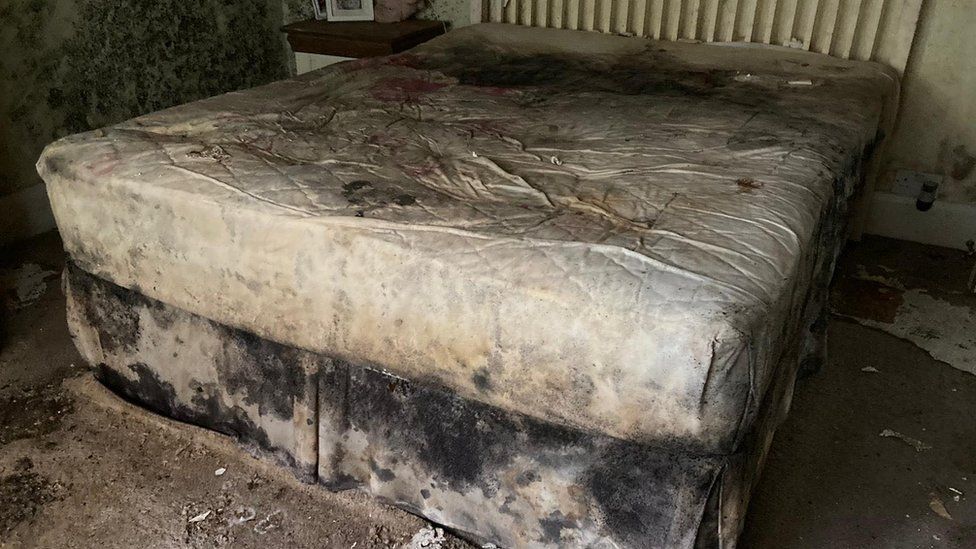 A mouldy bed