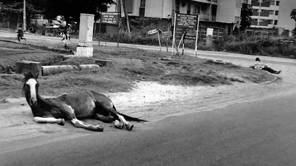 A photo by Sunmi Smart-Cole entitled: "Two Tired Souls" - 1983, showing a hors and a man lying down on a street in Nigeria