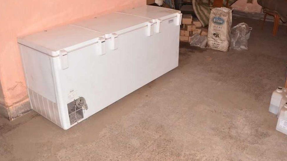 freezer used to preserve the mother's body