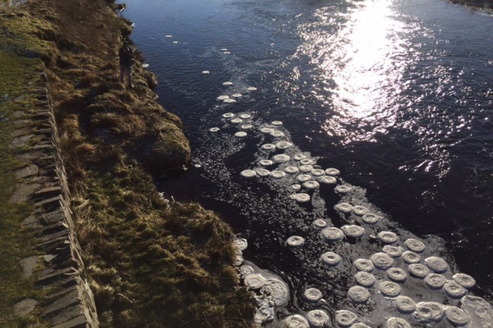 Ice pancakes pictured on Thurso River at Halkirk BBC News
