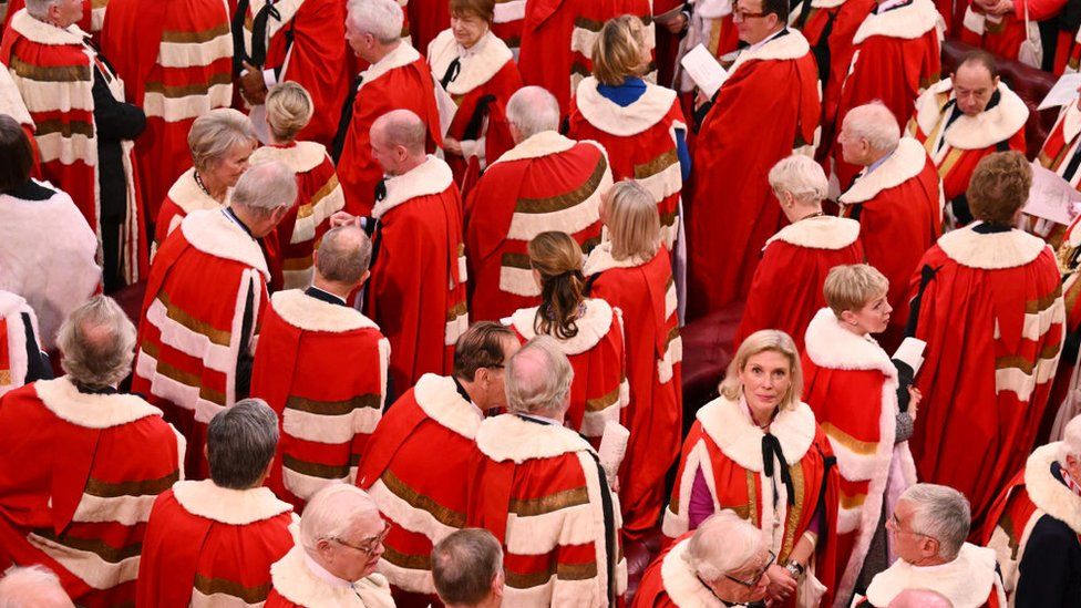 Members of the House of Lords pictured after the State Opening of Parliament on 7 November, 2023
