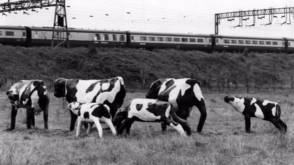 Milton Keynes cows