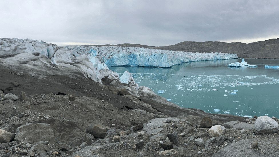 Algae, microscopically small plants, flourish in the melting ice