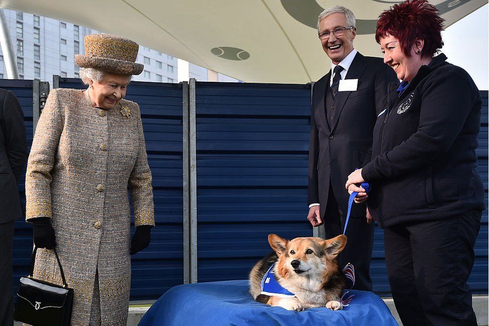 Queen Elizabeth II smiles at a Corgi while O'Grady watches on