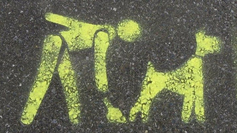 A stencil on the pavement asking you to clean up after your dog
