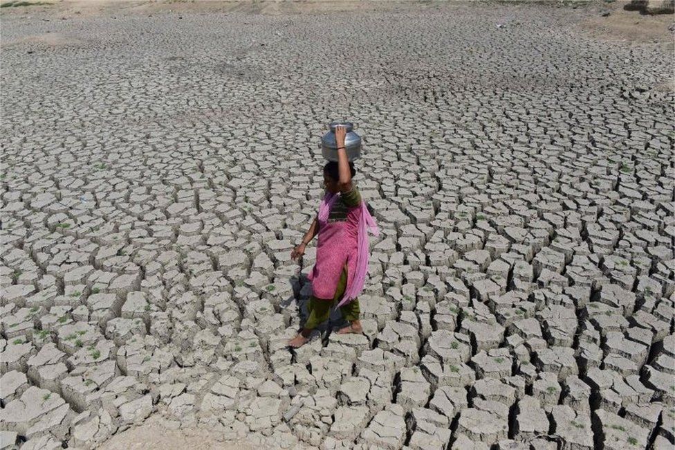 An Indian woman walks on the parched bed of Chandola Lake with a metal pot on her head to fetch water in Ahmedabad on May 20, 2016