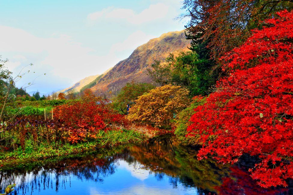 Your pictures of Scotland: 25 October - 1 November - BBC News