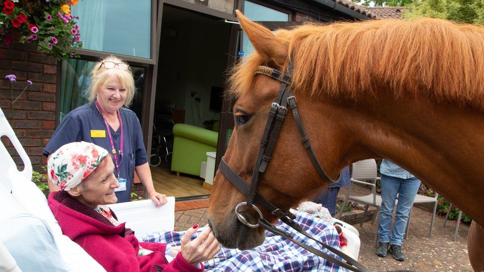 Hayley Golding with a horse outside a hospice in Aylesbury