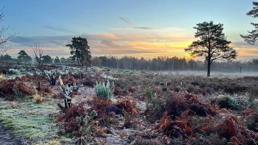 MONDAY - Bracknell Forest