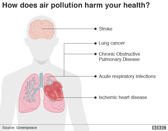 Wildfire smoke may cause life-long harm - BBC News