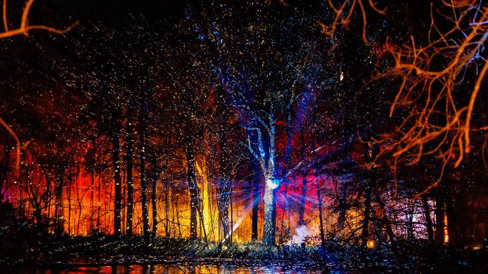 Light show at Coombe Abbey Park