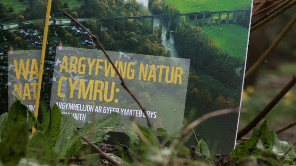 Adroddiad Argyfwng Natur Cymru WWF Cymru