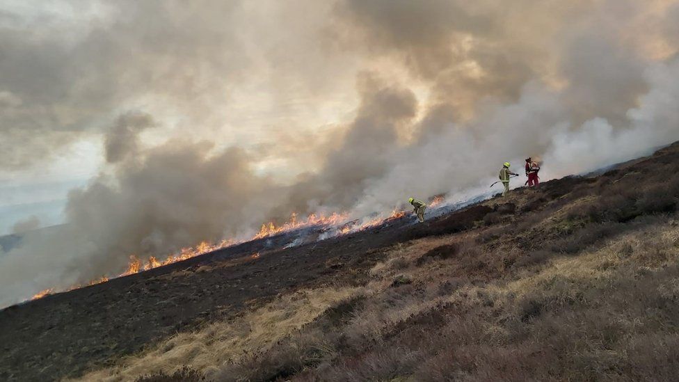 Firefighters on the moorland