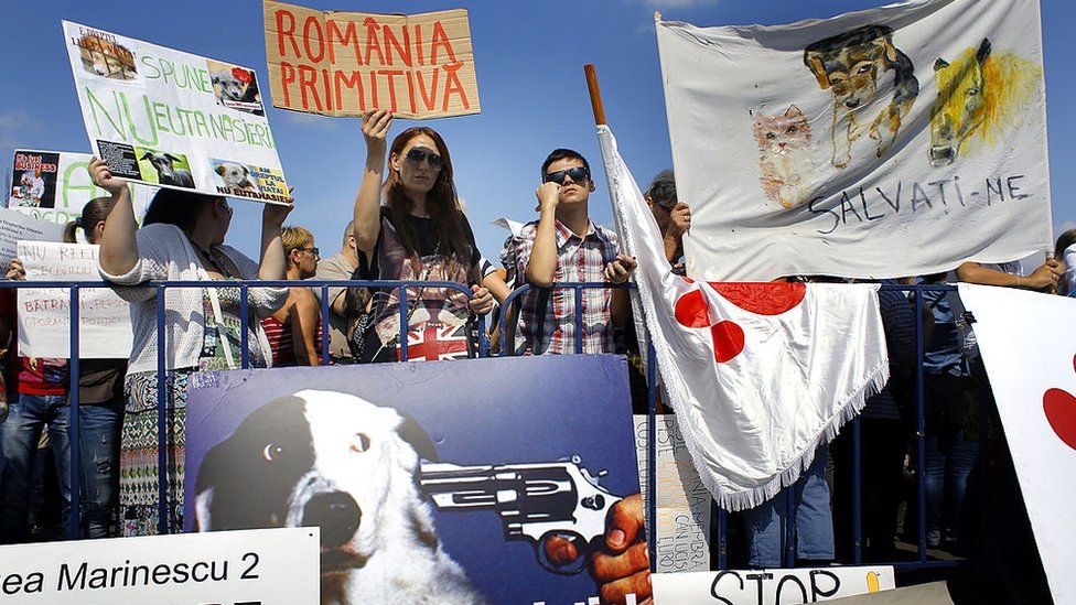 People protesting against the law change over stray dogs in Romania in 2013
