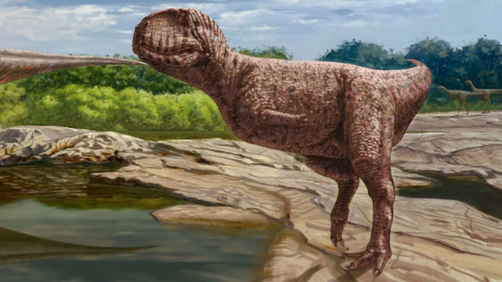 Newly discovered dinosaur had tiny arms like T. rex