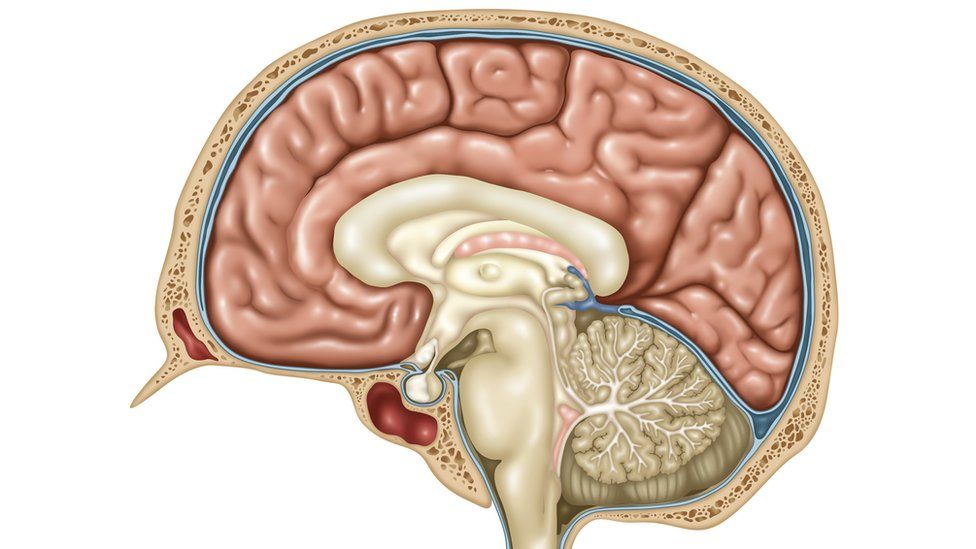 Bulimia brains 'use food to avoid negative thoughts' - BBC News