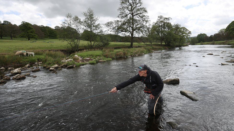 A man is seen fly fishing in the River Derwent