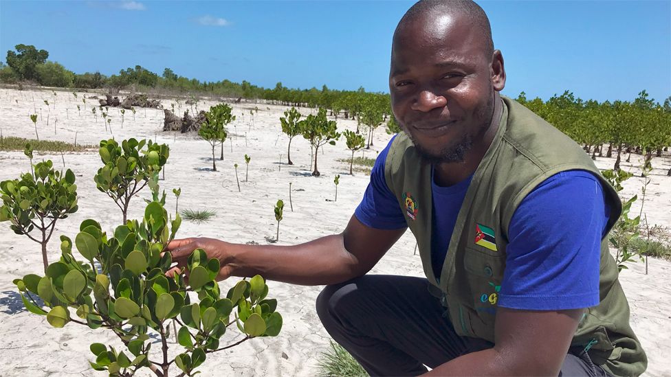 Alberto Santos next to a tree he has planted to regenerate mangrove forests in Nhangau, Mozambique