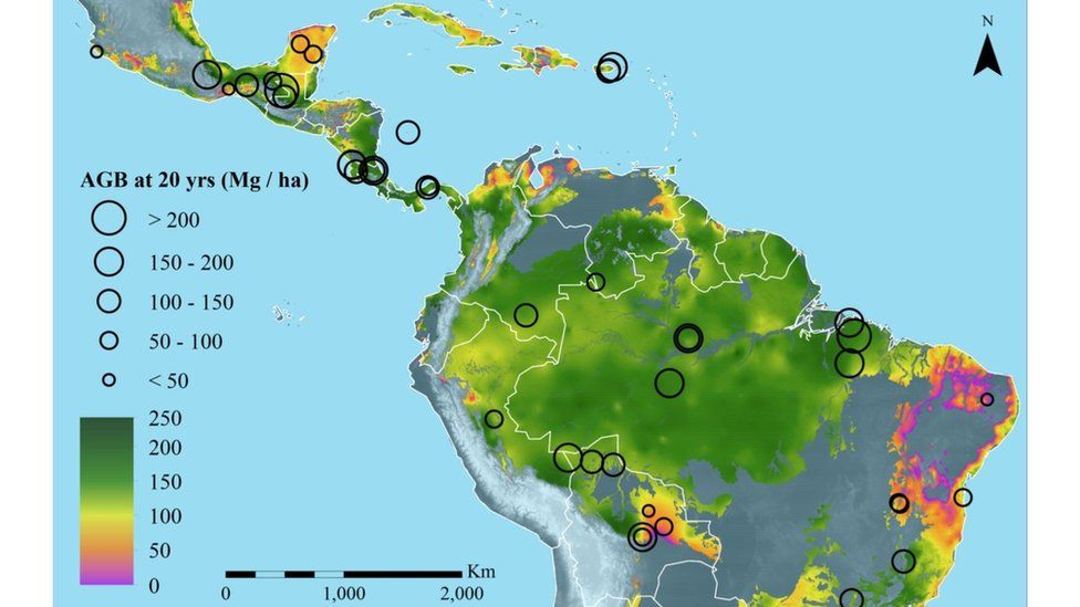 Map showing above-ground biomass (ABG) growth (Image: Nature journal)