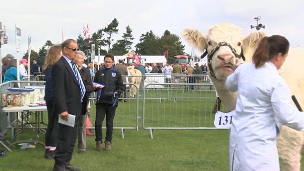 Newbury Agricultural Show confident of successful return BBC News
