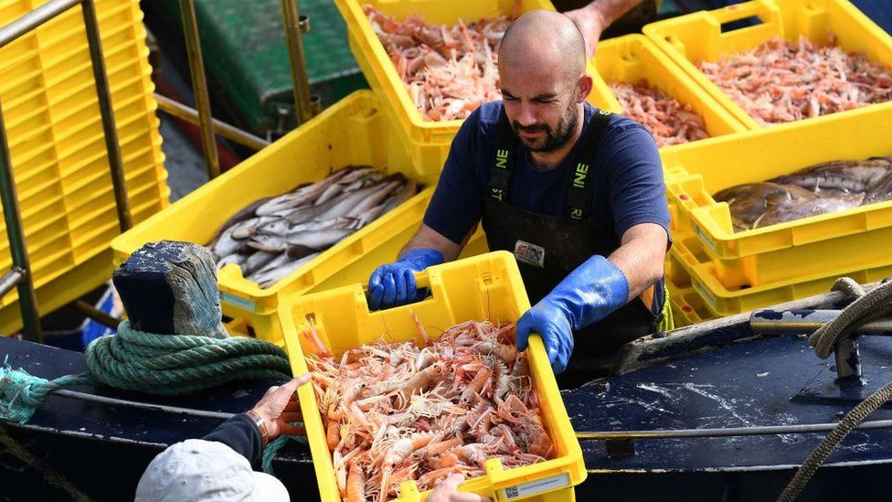 Fishermen unload scampi after a fishery in the harbour of Le Guilvinec, western France
