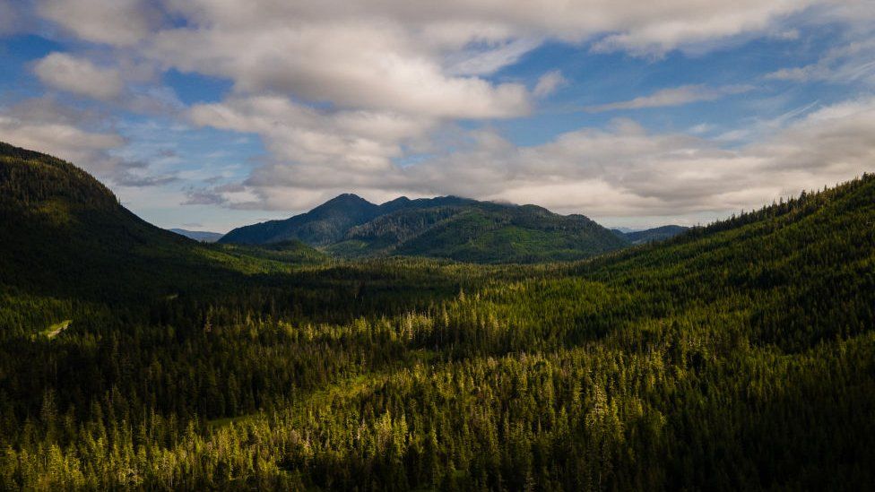 Prince of Wales Island in the Tongass National Forest