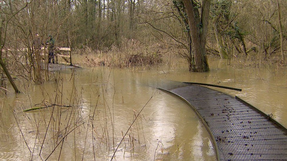 Flooded boardwalk at Sculthorpe Moor