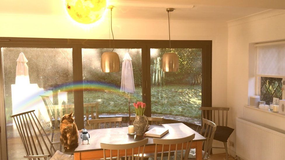 Rare Puffin, Marvellous Rainbow and Solar Friend in the kitchen