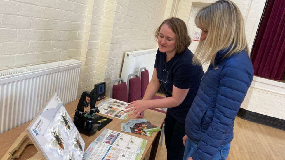 Michaela Strachan hands award to Peak District bee project BBC News