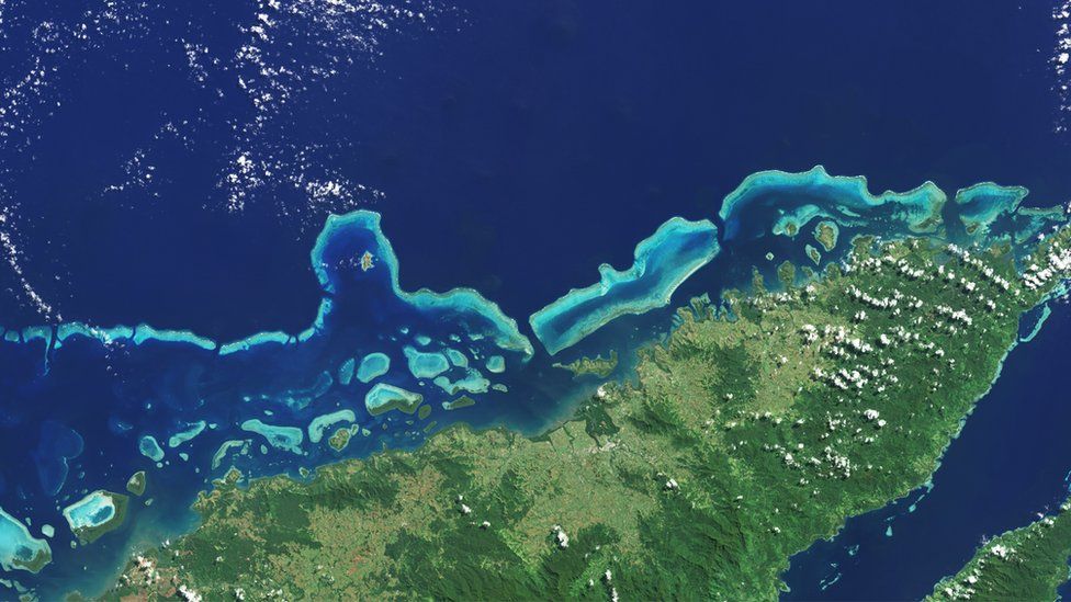 Coral reefs on the northern shore of Vanua Levu, Fiji’s second largest island