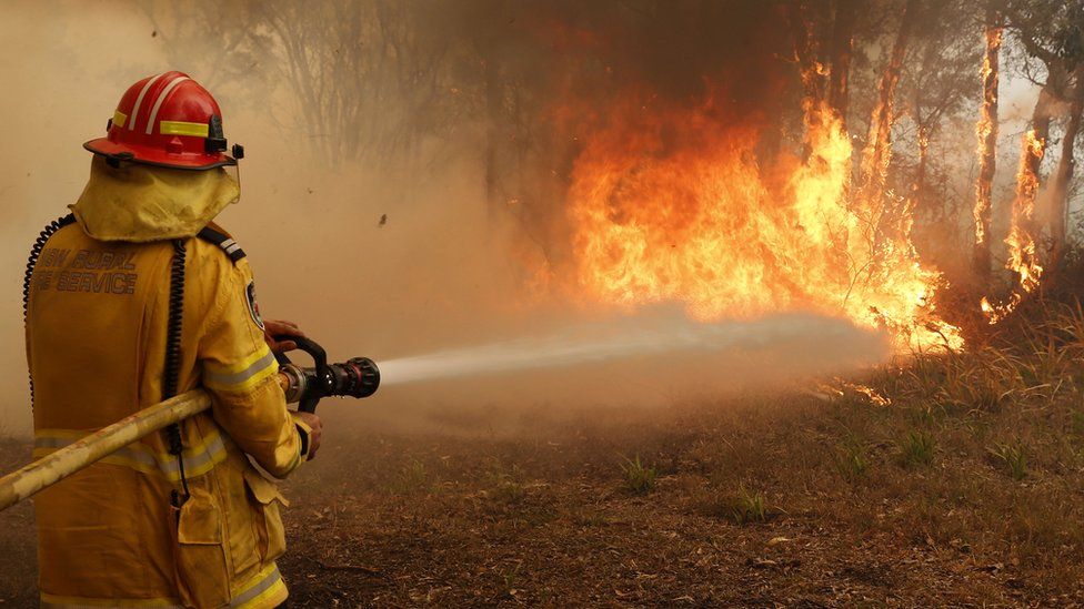 Bushfire in New South Wales