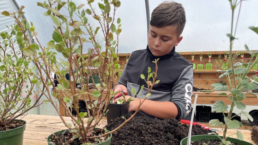Aiden learning how to plant cuttings in a horticulture lesson at the National Botanic Garden of Wales