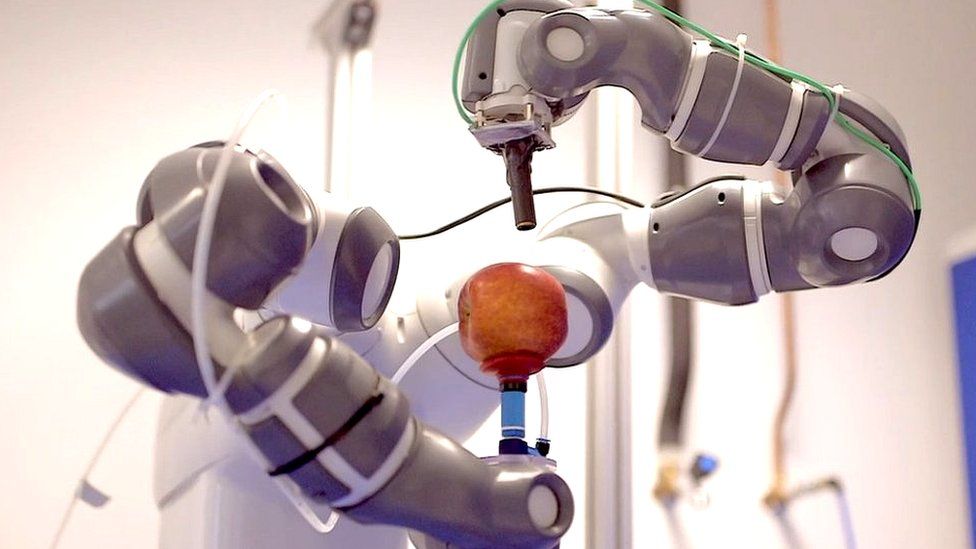 Robot holding and inspecting an apple