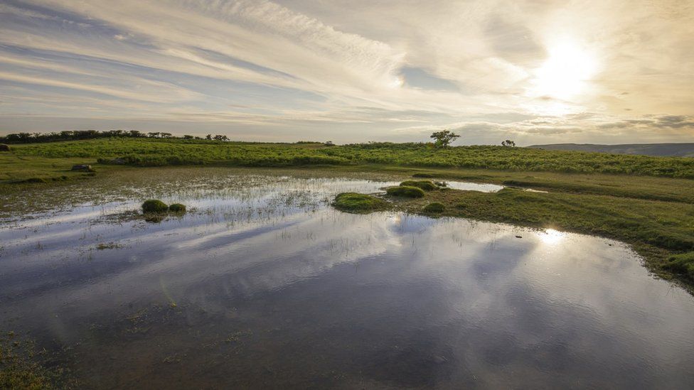 Begwns Pond near Hay-on-Wye