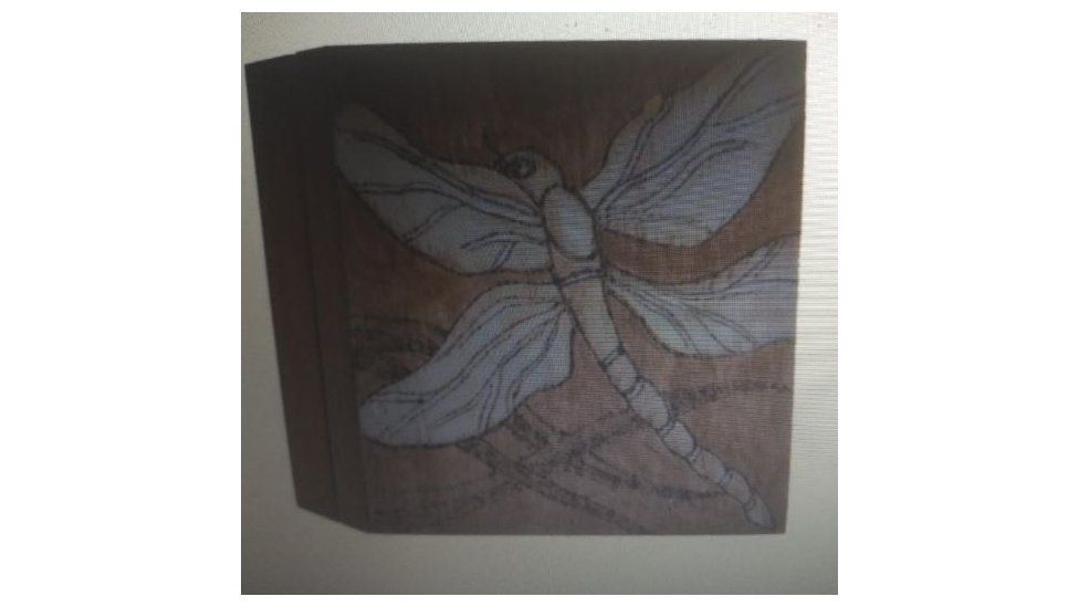 The wooden box, featuring a picture of a dragonfly, which contained Dennis's ashes