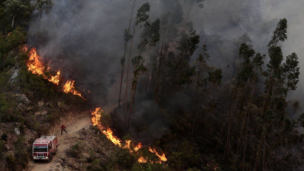 Fire in Monchique on 3 August