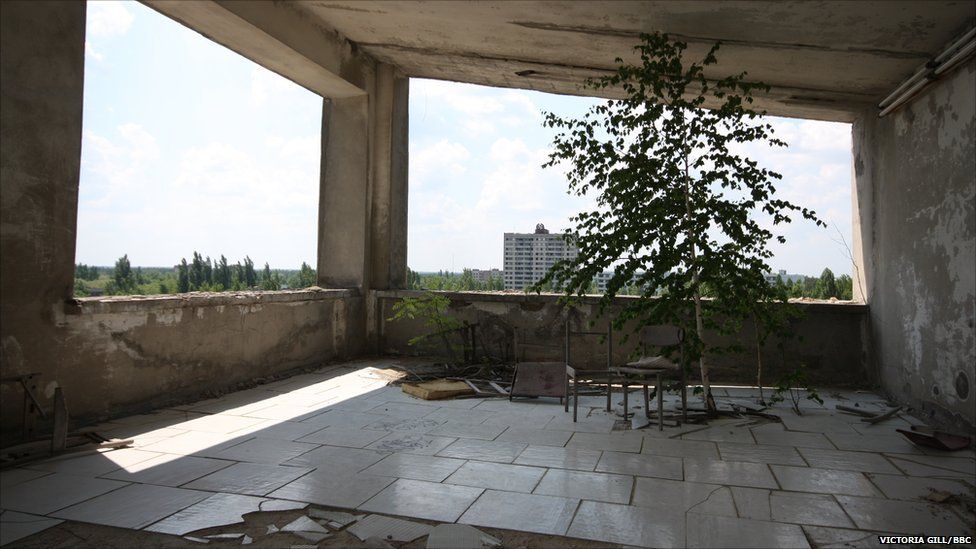 A tree growing on the top floor of an abandoned apartment block in Pripyat, in the Chernobyl exclusion zone (c) Victoria Gill
