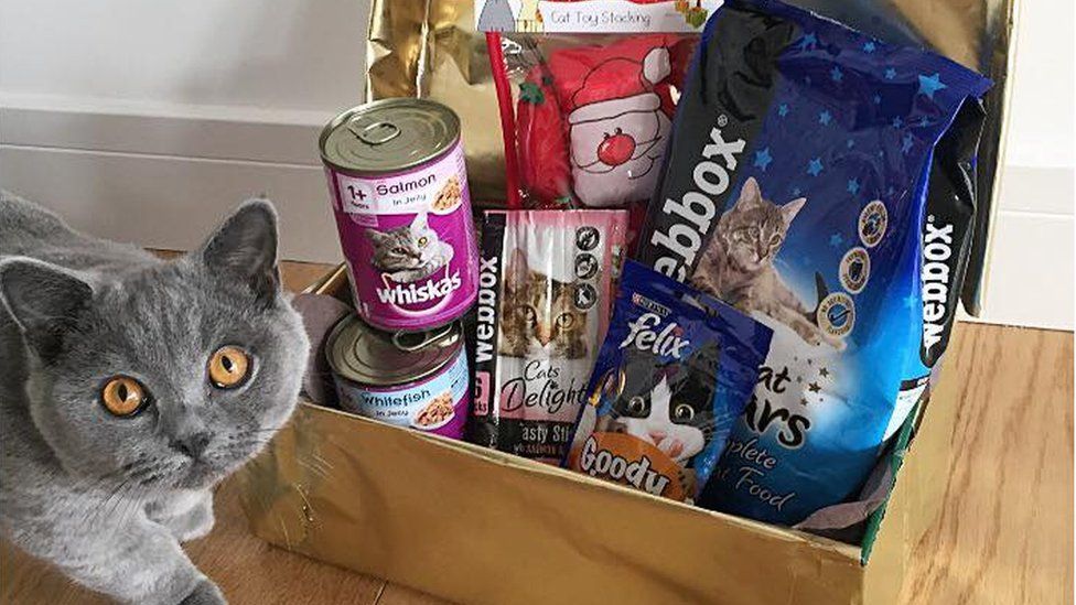 Dog walkers' Christmas gifts appeal for homeless pets - BBC News