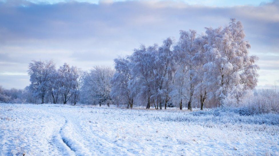 Sunday snow turns UK into a winter wonderland - BBC Weather