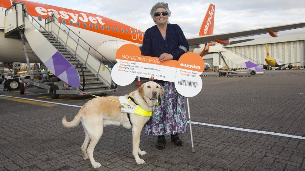 Easyjet dogs cheap on plane