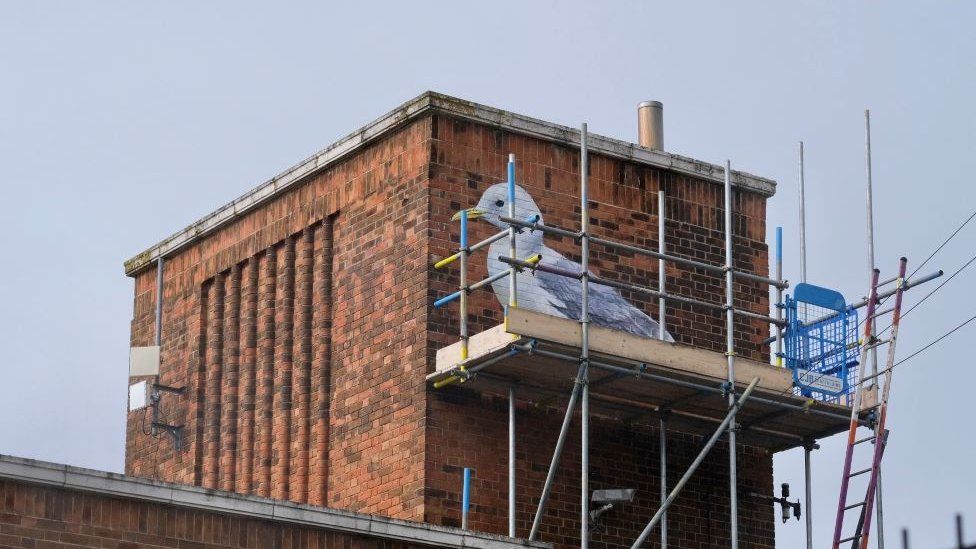 Kittiwake mural in progress behind some scaffolding on building in Lowestoft