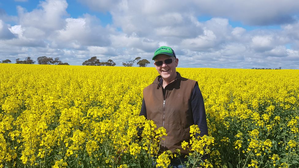 Victorian grain grower Chris Kelly standing in a field of canola in his farm in the southern Mallee region