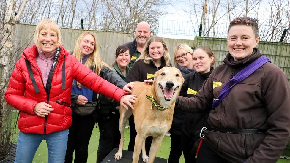 Jake on adoption day with Dogs Trust staff