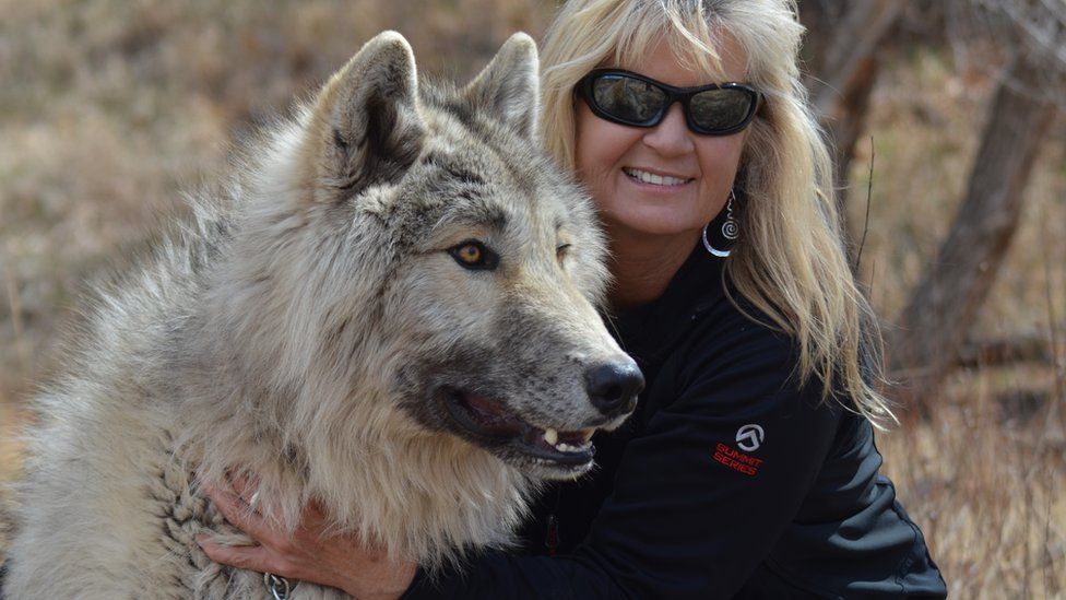 Peggy and her wolfdog Kalani