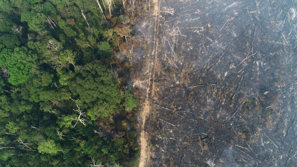 Aerial view of the deforestation of the Amazon, Apui, Amazonas State